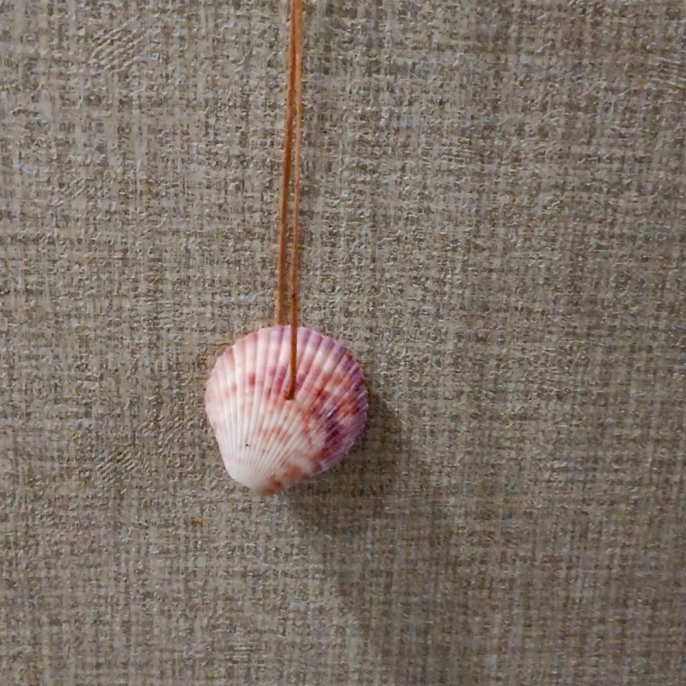 Seashell necklace